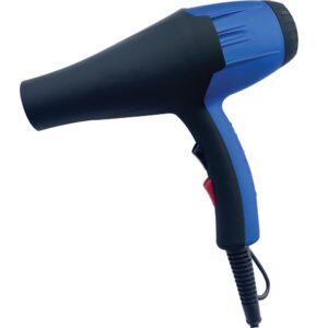 Hair dryer